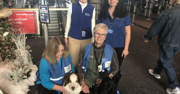Bright Spot Therapy Dogs at Bradley International Airport