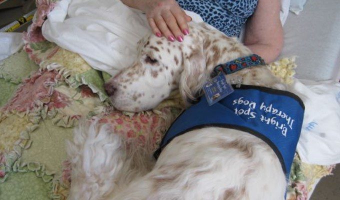 From a 106 year old hospice patient: Dogs and Longevity