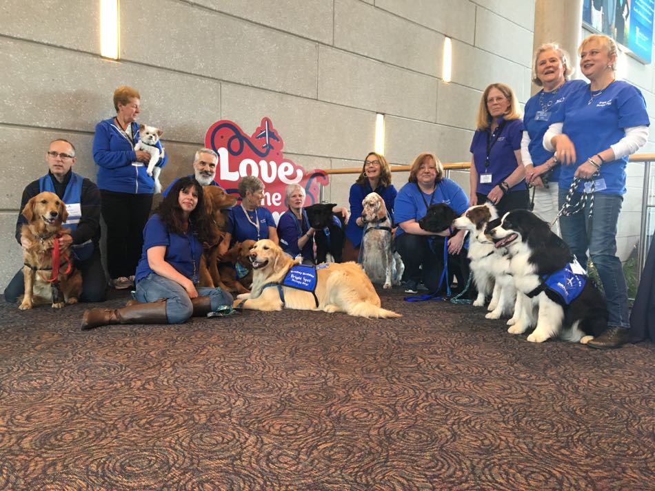 Bradley International Airport Celebrates National Therapy Animal Day